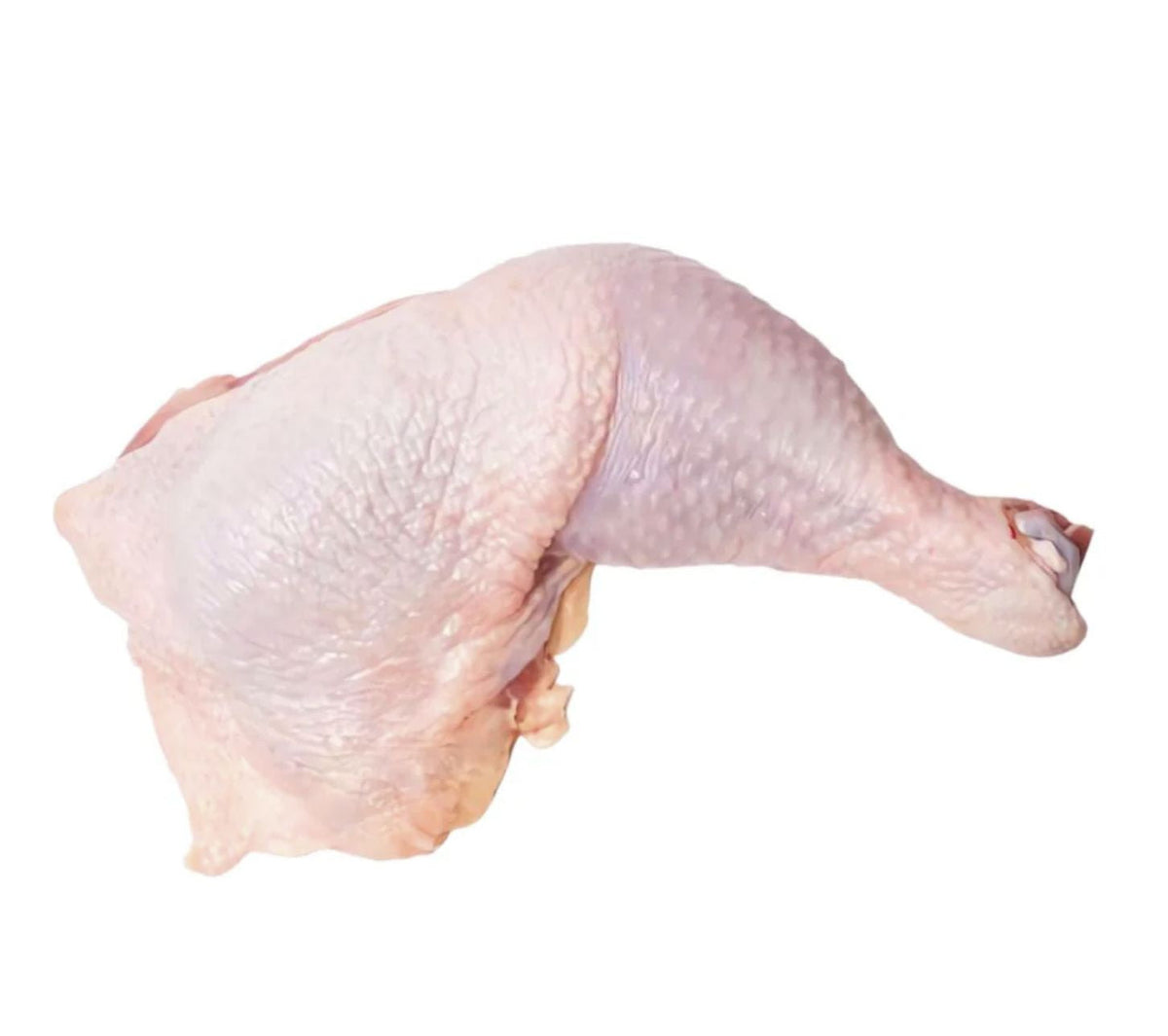Guía completa sobre el trutro de pollo: tipos, preparación y dónde com